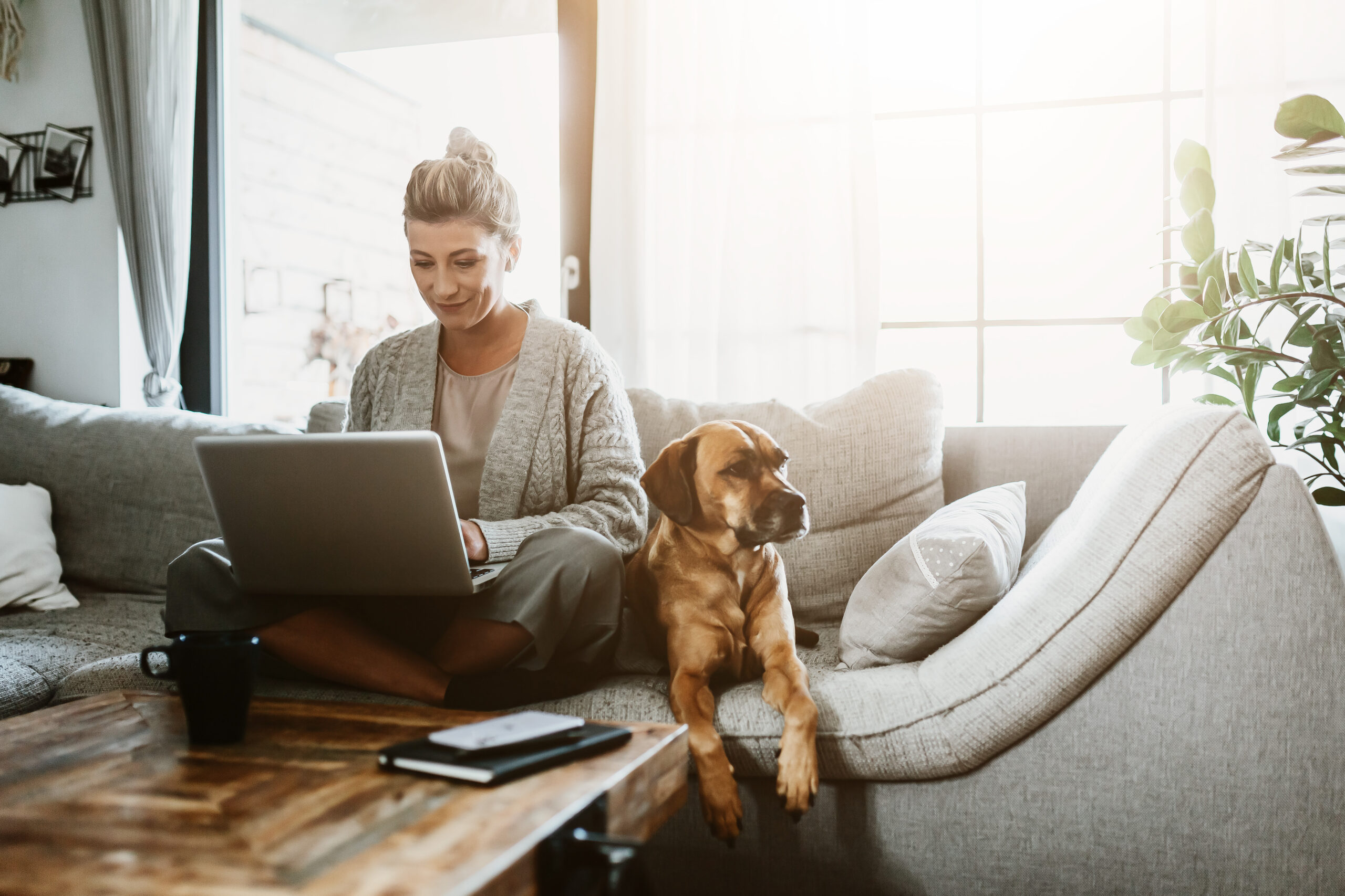 Businesswoman working on laptop computer sitting at home with a